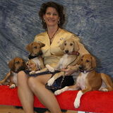 Amarillo Dog/Cat Sitter/Walker Interviewing For Work in Texas