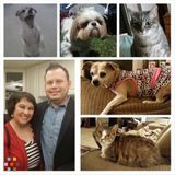Professional Pet Pamperers Starting at $15