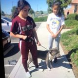 Ceres, California Dog Walker
