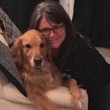 Qualified Home Sitter in Indianapolis, Indiana