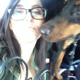 Fur baby care !I am an animal lover !