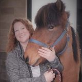 Mature, trustworthy, and tidy former stable manager to handle daily tasks and emergencies.