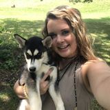 Available For a Pet Care Provider Job in Gainesville, I love dogs!