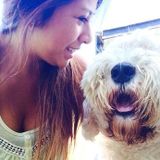 PAWSitive Pet Care