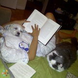 Cat/Dog Boarding with Love (CRATE FREE)