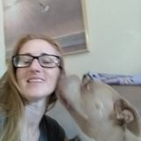 Reliable and Personable Pet Sitter - Of all shapes and sizes!