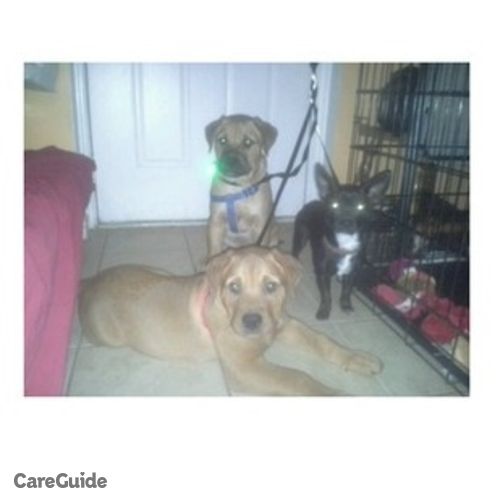 Pet Care Provider Ana Jimenez's Profile Picture