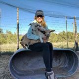 Animal lover looking for interviews for pet sitting, walking, etc.