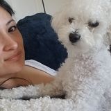 Consistent Housesitter in Thousand Oaks, California