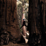 Hi) Im Ed and I travel-blogger travel photographer. Now I have a roadtrip in USA through all States)