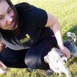 Experienced, Most Qualified Pet Care Provider in the Macomb Area