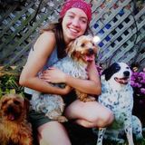 Holistic Pet-Sitter in Asheville, NC. 13 years experience!