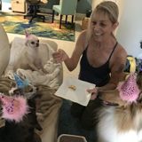 Pet Nanny/Housecleaner Needed ASAP!