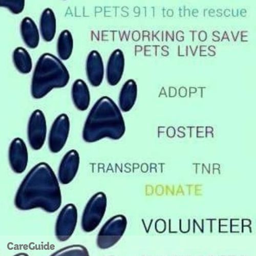 Pet Care Provider Lisa Armstrong's Profile Picture