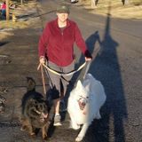 Experienced and reliable vet tech, pet care provider in Lemay