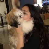 Waterloo Pet Sitter Seeking Being Hired