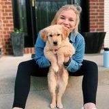 Passionate and dependable Animal Caregiver in Reedsburg, Wisconsin. Willing to trade to surrounding areas.