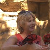 House/Pet sitter in Bradenton