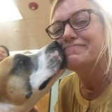 Oak Park & River Forest House and Pet sitter available