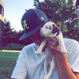 Available: Present Pet Sitting Professional in Northport, Alabama