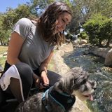 Responsible college student looking for homes to take care of!