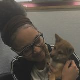 Pet Care