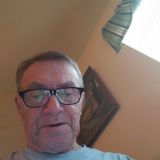 Hardworking Housesitter in Houston, Texas