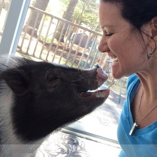 Pet Care Provider Judy R's Profile Picture