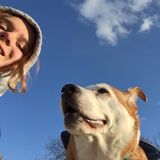Loving Pet Supervisor in Pittsfield, Massachusetts