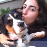 Responsible Dog Sitter Available!