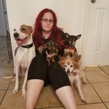Available: Loving Caregiver in Fort Pierce North