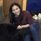 Babysitter Looking to Provide Exceptional Care for Your Child