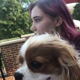 College student looking to give love to pets!