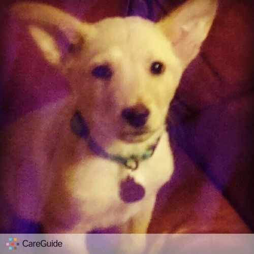 Pet Care Provider Ashley Staton's Profile Picture