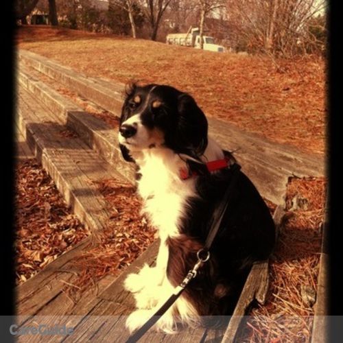 Pet Care Provider Catherine F's Profile Picture