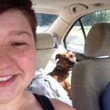 Reliable, caring, experienced dog/cat lover