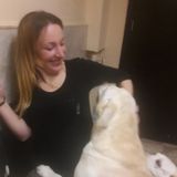 Disciplined Pet Sitter for Your Home