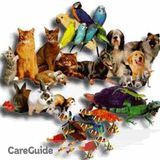 Pet Sitter/ Professional Pet/Dog Walking/ Waste removal
