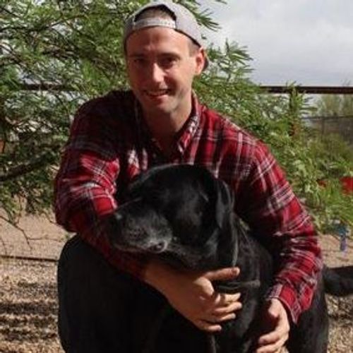 find dog sitters near me