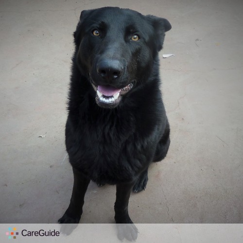 Pet Care Provider Makayla S's Profile Picture