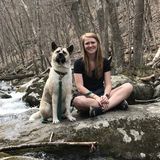 Pet Sitting Offered in Suffolk