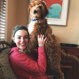 Will Treat your Animals Like My Own