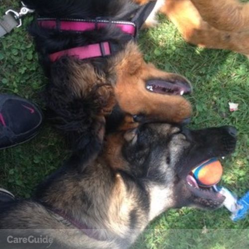 Pet Care Job Courtney S's Profile Picture