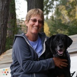 Married veterinary couple wish to tour Arizona/California February 2015