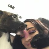 Great House Sitting Service Provider in Copperas Cove