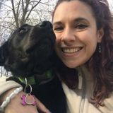 I would love to walk or sit your dog so we can play and have fun!
