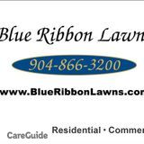 Blue Ribbon Lawns