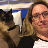 Consistent Pet Sitter Available Immediately