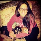 Present House and Petsitter in Bristol