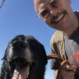 Interested In Dog Sitter/Walking/Care Job either Overnight or day in Tarzana, California or surrounding L.A. area.